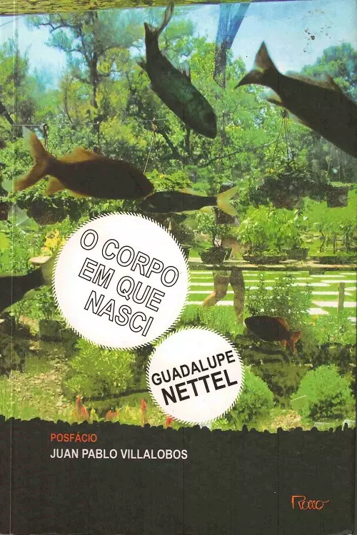 Imagem do Produto